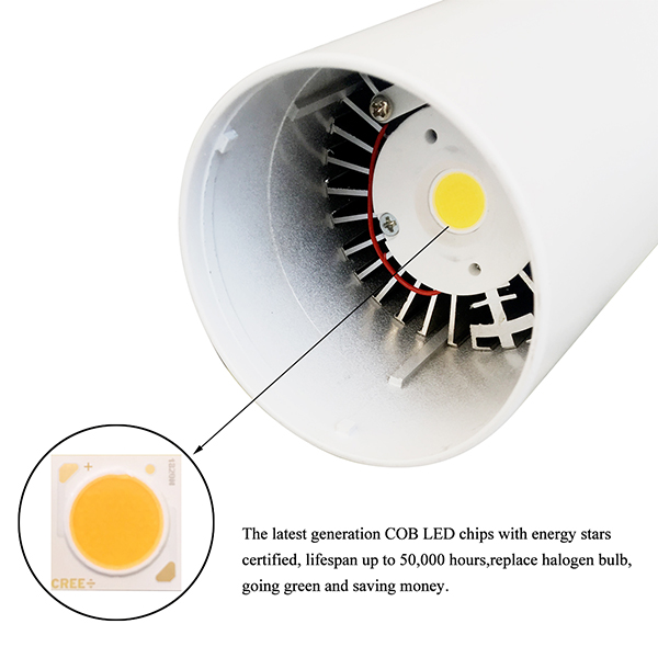 TRIAC Dimmable 110V/220V Driveless AC COB 10w Track Light