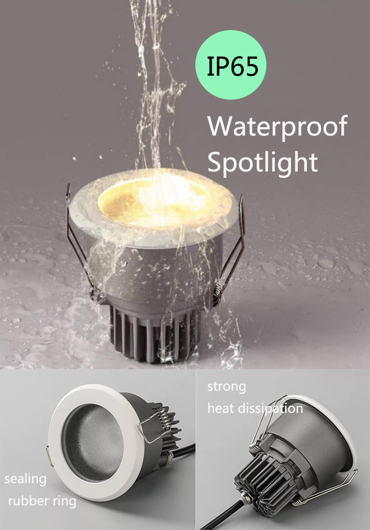 IP65 Waterproof Downlight Spotlight