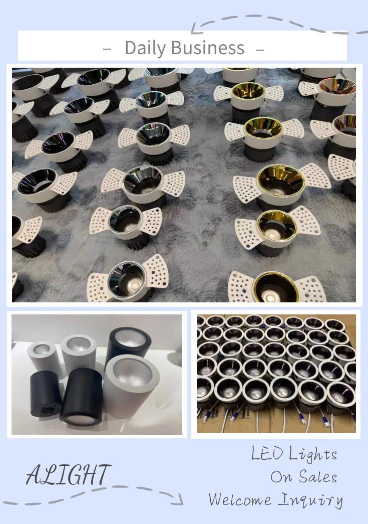 Daily engineering order--the led lighting fixtures (embedded spotlights, down lights, surface mounted lights) have been in progress,