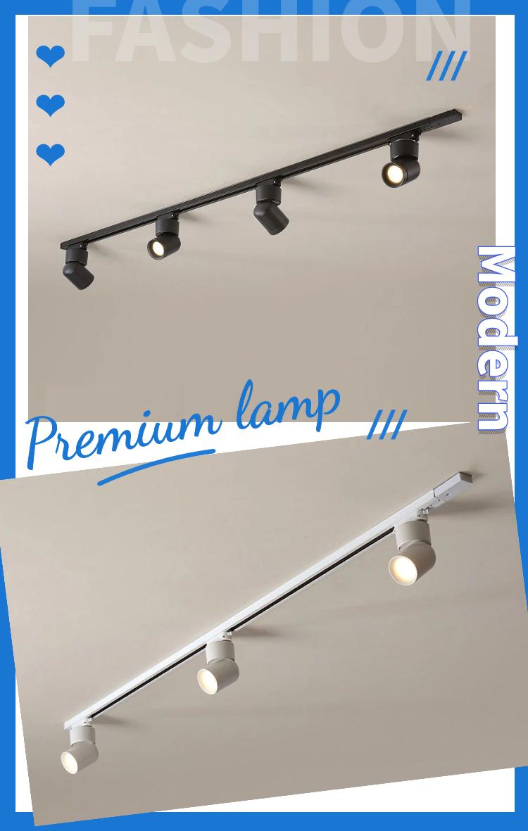 Whether it is home lighting&nbsp;or&nbsp;commercial lighting, track lights are more flexible to use than other spotlights;